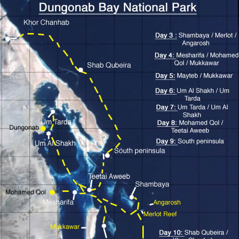 BACK IN TIME TO 2006 | RED SEA CATALOGING EXPEDITION